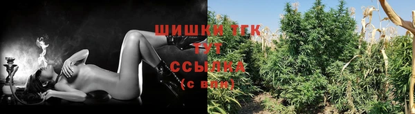 молекула духа Волосово