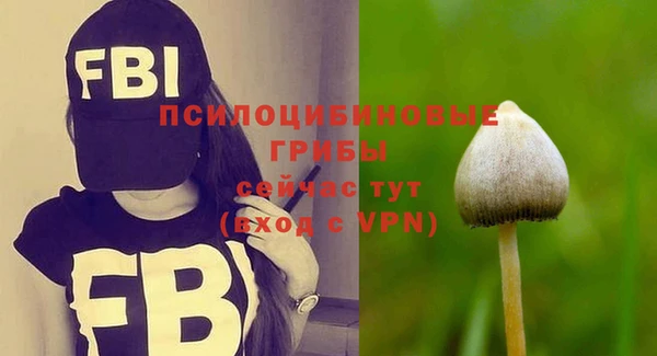 ECSTASY Верея