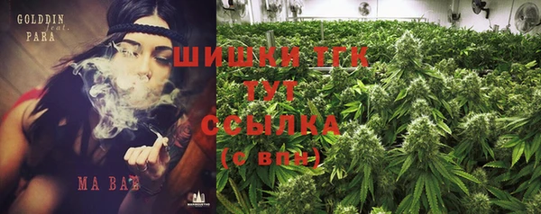 Альфа ПВП Богородицк