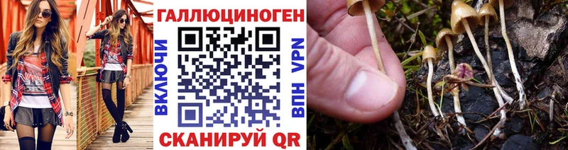 Галлюциногенные грибы Psilocybe  дарнет шоп  Зубцов 
